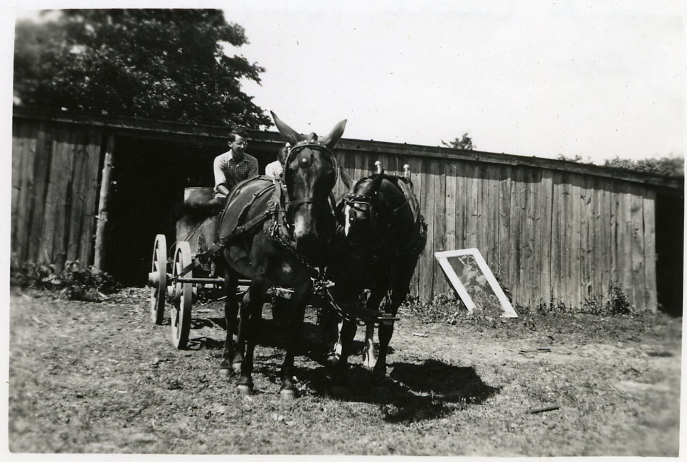 Wagon being pulled by Horses